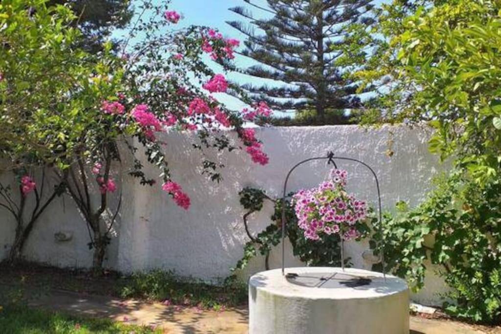Villa Mozia Riserva Dello Stagnone Marsala Zewnętrze zdjęcie